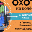 Гатчина приглашает в выходные на «Охоту на Колеса» - Gatchina.Life