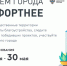 Ленинградцы выбирают проекты новых общественных пространств - Гатчинская служба новостей