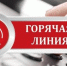 «Горячая линия» по вопросам взыскания алиментов - Гатчинская правда