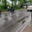 В ДТП под Гатчиной пострадали пассажиры автобуса - Гатчинская служба новостей