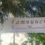 Очередная победа гатчинских медиков - Гатчинская служба новостей