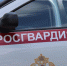 В Гатчинском районе бдительные соседи сорвали планы на опохмел - Gatchina.Life