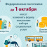 Набор социальных услуг- важная мера социальной поддержки - Гатчинская служба новостей