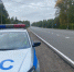 ДПС на постах в Гатчинском районе - Гатчинская служба новостей