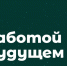 «Зеленая премия» ждет заявок - Гатчинская правда