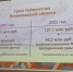 О деятельности НКО, грантах и роли НКО в 47-м регионе - Гатчинская служба новостей