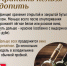 Как правильно хранить вино дома: советы эксперта - Гатчинская правда