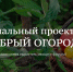 Проект «Наш веселый огород» из Гатчины получит федеральный грант - Гатчинская правда