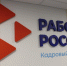 Жители Ленобласти осваивают новые профессии - Гатчинская правда