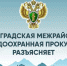 За скопившийся мусор придётся ответить - Гатчинская правда