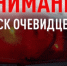В Гатчинском районе разыскивают свидетелей ДТП - Гатчинская служба новостей
