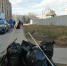 В Ленобласти продолжаются субботники - Гатчинская служба новостей
