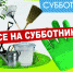 В Таицком поселении активистов зовут на уборку - Гатчинская служба новостей