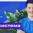Камчатка ждет юных натуралистов из Ленобласти - Гатчинская правда