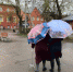 Гатчину накроют дожди с мокрым снегом - Гатчинская служба новостей