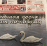 Читайте газету - Гатчинская служба новостей