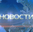 Анонс форума волонтерских команд «Нам нужна одна Победа» - Гатчинский район