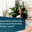 Малый бизнес включается в инклюзивную деятельность - Гатчинский район