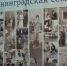 О том, как образовывались ленинградские семьи, рассказывает выставка в Выборге - Гатчинская служба новостей