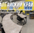 Алтайская академия гостеприимства - Гатчинская служба новостей