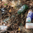 В Ленобласти за год ликвидировали 188 нелегальных свалок - Гатчинская служба новостей