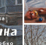 Выставка Марии Глебко - Gatchinka.Ru