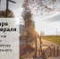 Жители Гатчинского района активно выбирают места для благоустройства - Гатчинская правда