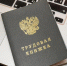 Стоит ли переходить с бумажной трудовой книжки на электронную? - Гатчинская правда