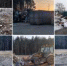 Приняты оперативные меры по ликвидации свалки на Корпиковском шоссе - Gatchina24.Ru