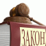 Памятки для иностранных граждан о соблюдении миграционного законодательства Российской Федерации - Гатчинская правда