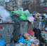 Мусорный коллапс в Гатчине - Гатчинская служба новостей