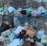 Мусорный коллапс в Гатчине - Гатчинская служба новостей