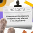 Как не попасться на уловки мошенников - Гатчинская служба новостей