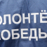 В Гатчинском районе волонтеры поздравили почти 500 ветеранов - Гатчинская служба новостей