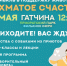 В Гатчине пройдет фестиваль «Лохматое счастье» - Гатчинская служба новостей
