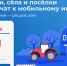 В Ленобласти стартовало голосование за подключение сел к 4G - Гатчинская правда