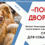 Гатчинцы могут принять участие в акции  «Помоги дворняге» - Гатчинская служба новостей