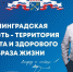 Муниципальный форум школьных спортивных клубов в Гатчине - Гатчинская правда