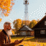 Гатчинский округ лидирует в голосовании за подключение сел к 4G - Гатчинская правда