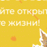 Лучи жизни - Gatchinka.Ru