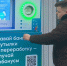 О вывозе мусора  и фандоматах - Гатчинская правда