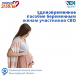 В Ленинградской области предусмотрено единовременное пособие беременным женам участников СВО
