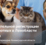 Гатчинцы могут задать вопросы об обязательной  регистрации собак - Гатчинская служба новостей