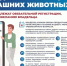 График выездной регистрации собак в поселениях Гатчинского муниципального округа - Гатчинская правда