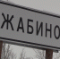 Жители Жабино голосуют за благоустройство - Гатчинская служба новостей