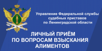 Главный судебный пристав Ленобласти проведет личный прием граждан по вопросам взыскания алиментов - Гатчинская служба новостей