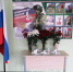 В Пригородной школе открыли Парту героев - Гатчинская служба новостей