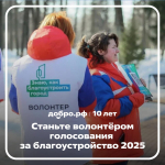 Гатчинцев приглашают стать волонтерами