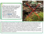 Жители Дивенского благодарят за уборку свалки