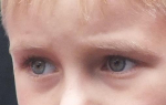 Обидчику 9-летней гатчинки предъявлено обвинение